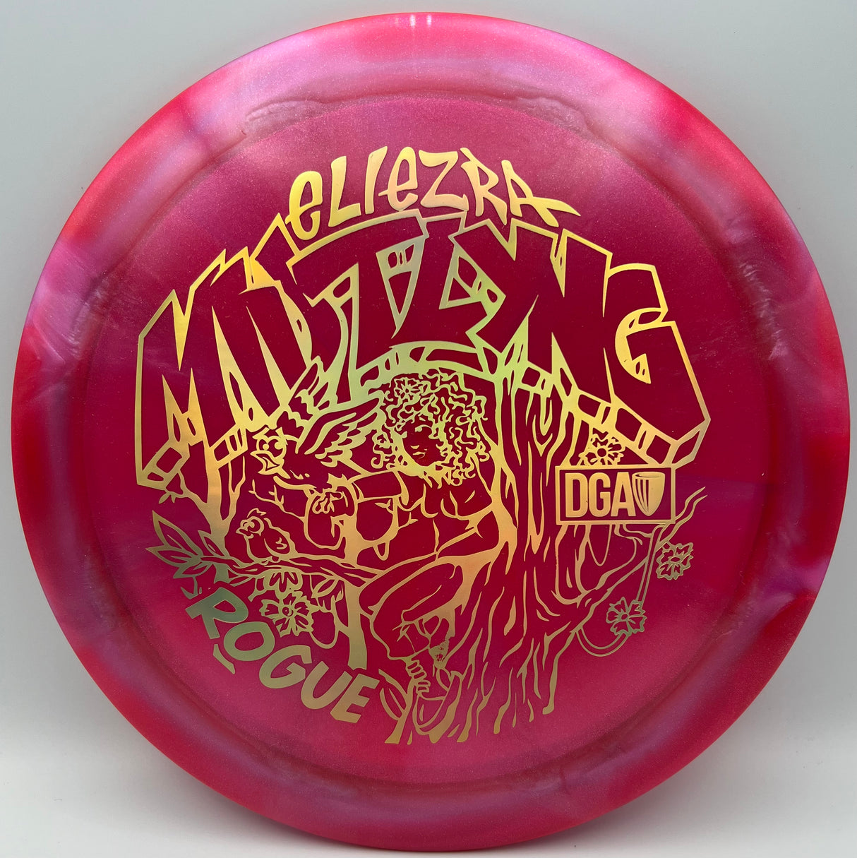 DGA 2024 Tour Series Rogue