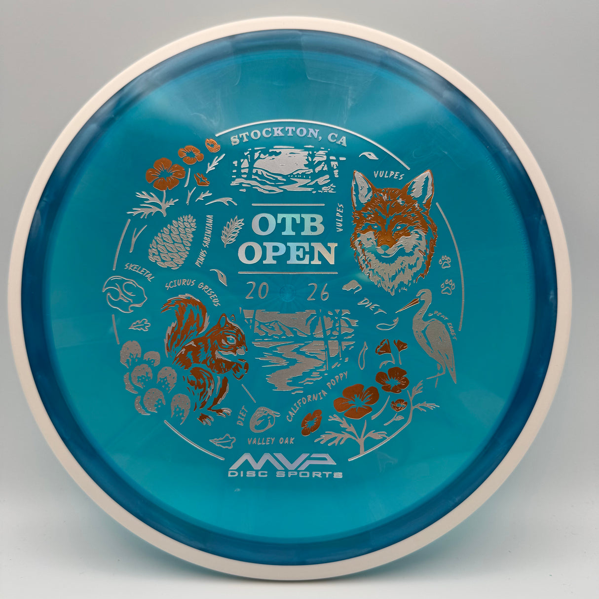MVP Proton Reactor (OTB Open Edition)